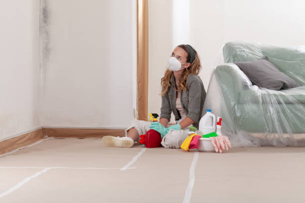 Reliable Commercial Mold Remediation contractor in Syosset, NY by WQB Mold Removal